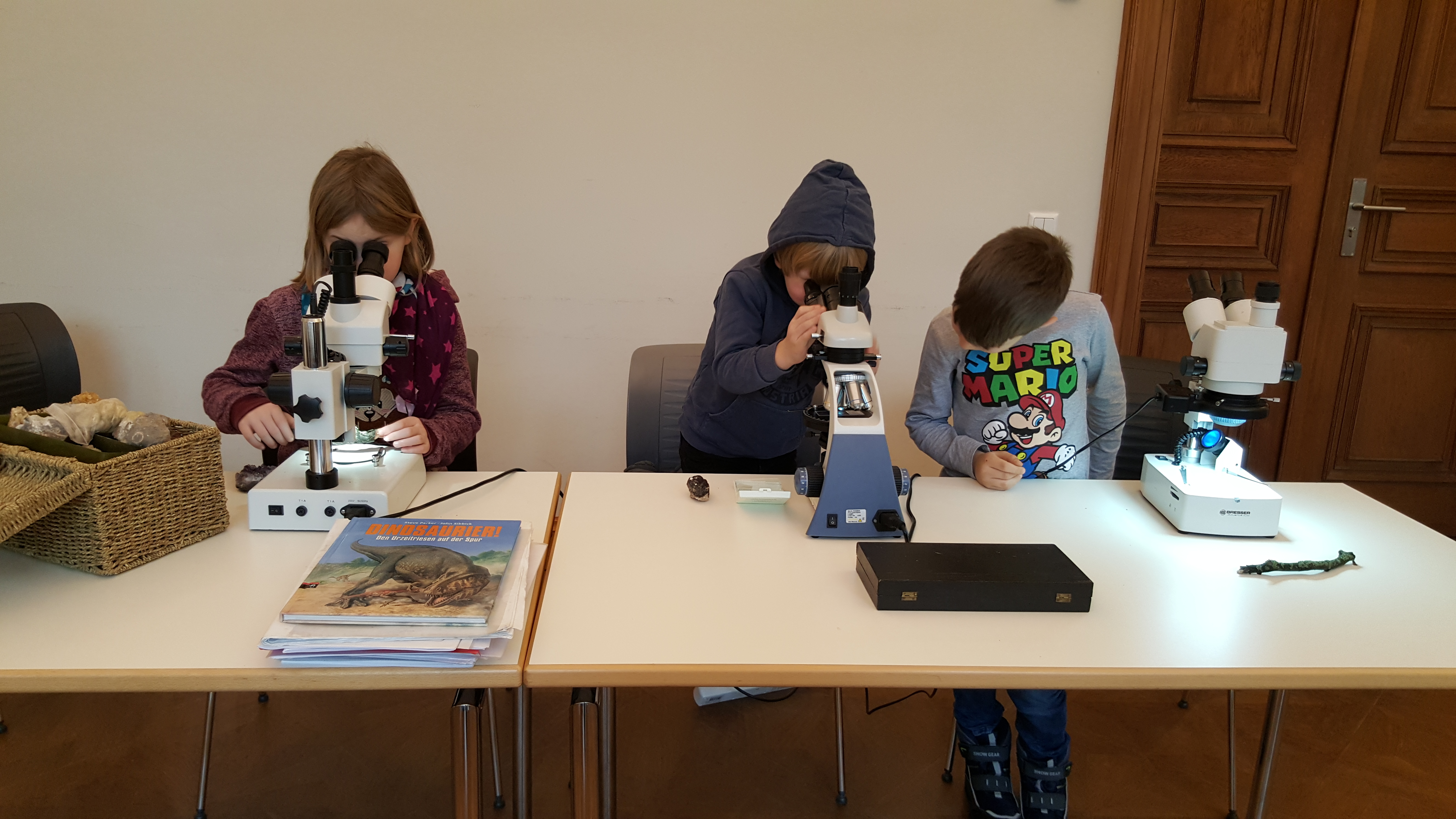 Mikroskop Kinder Steine Geologie Mineralogie